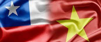 Hiệp định Thương mại Tự do Việt Nam - Chile (VCFTA)