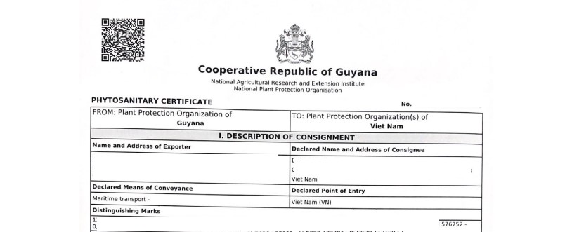 Thông báo mẫu giấy chứng nhận kiểm dịch thực vật mới của Guyana